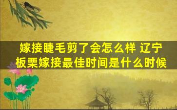 嫁接睫毛剪了会怎么样 辽宁板栗嫁接最佳时间是什么时候